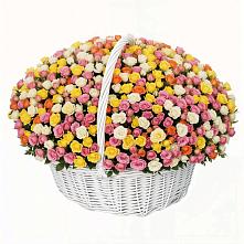 Премиум букет из: Розы в Каскара