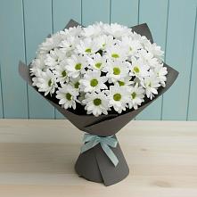 Букет цветов из:  Хризантемы #REPLACE_PRED# Каскара