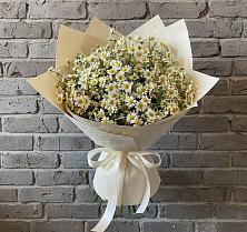 Букет цветов из:  Ромашки в Каскара