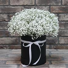 Цветочная композиция из Гипсофила в шляпной коробке в Каскара