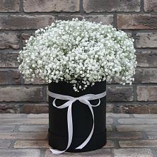 Цветочная композиция из Гипсофила в шляпной коробке в Каскара