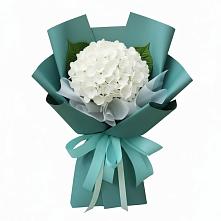 Букет цветов из:  Гортензия в Каскара